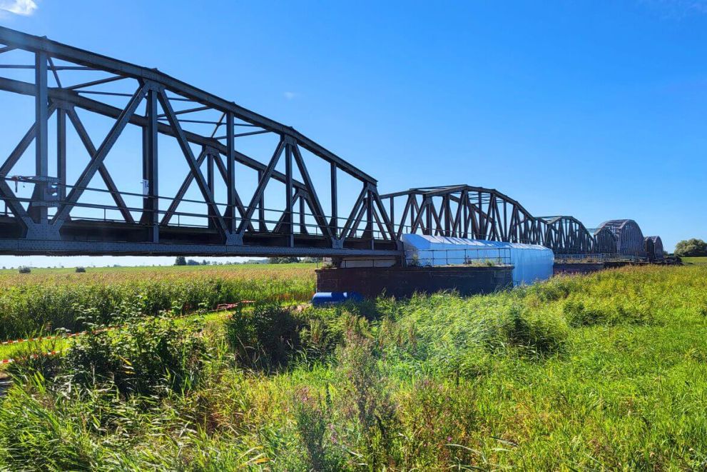 Lange stählerne Fachwerkbrücke über grüne Wiesen und Schilf unter klarem blauem Himmel.